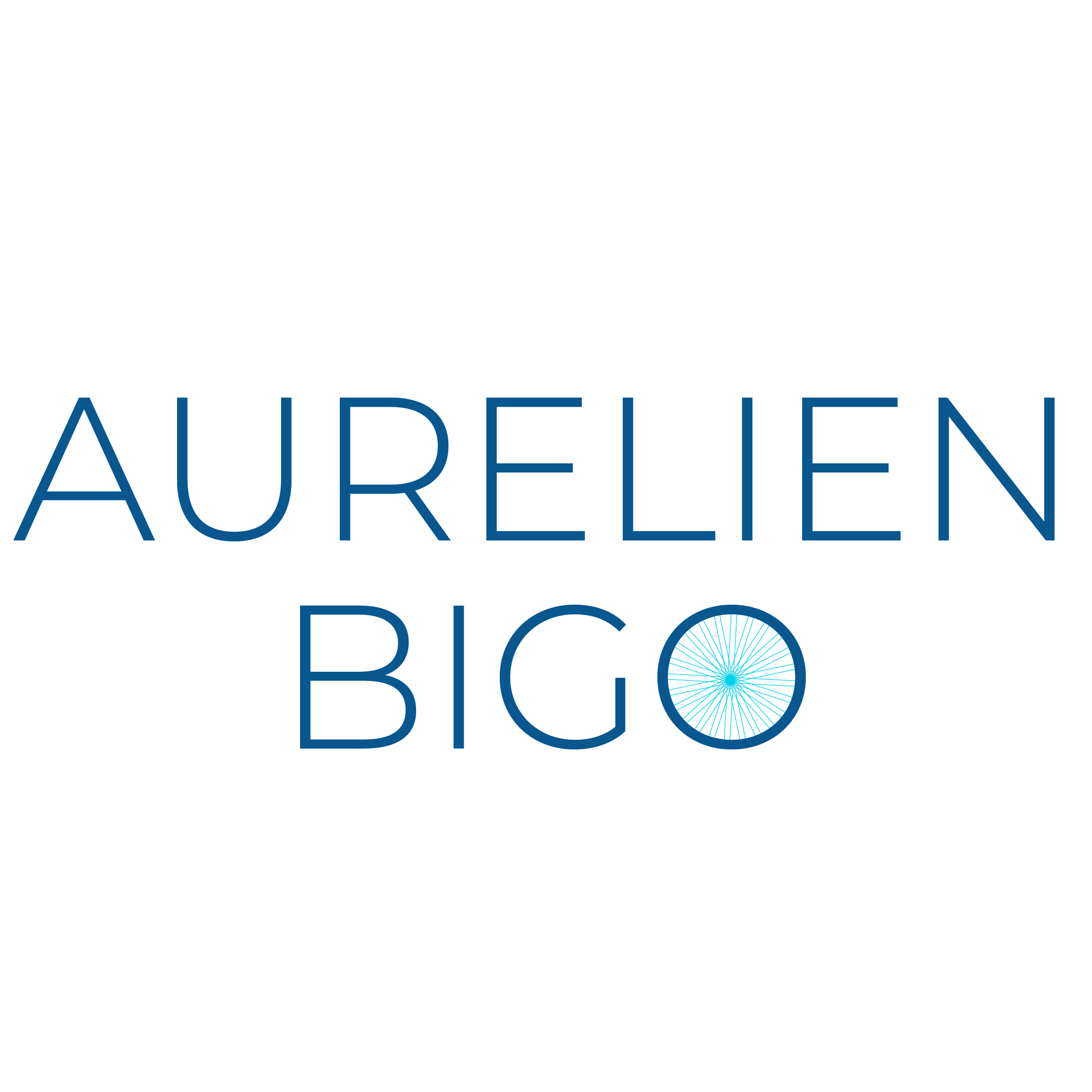 Aurelien Bigo