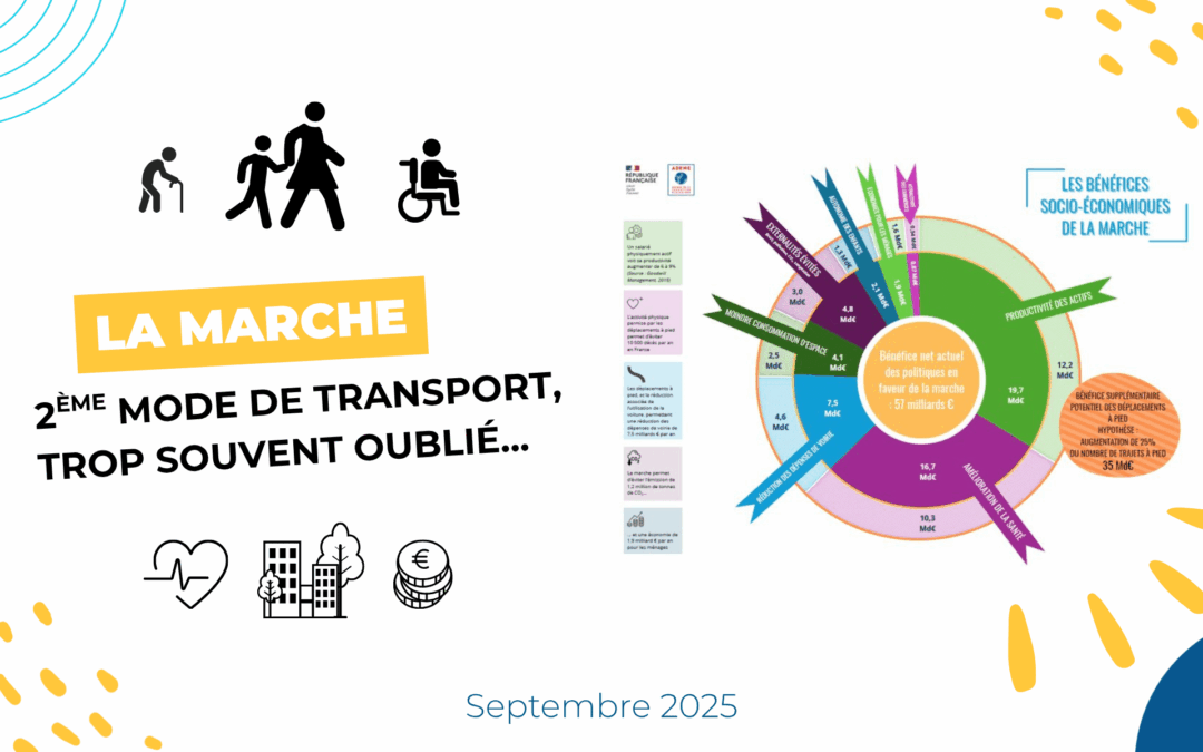 La marche : deuxième mode de transport, trop souvent oublié…