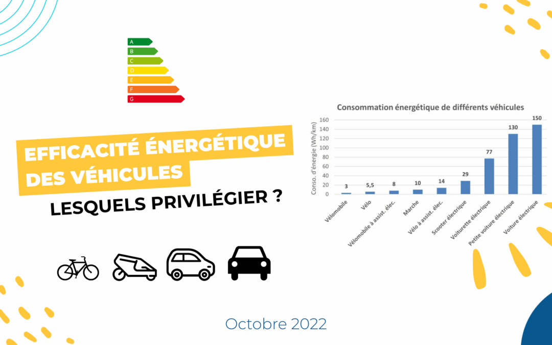 Efficacité énergétique des véhicules : lesquels privilégier ?