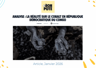 La réalité sur le cobalt en République Démocratique du Congo